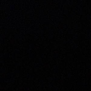 Meet your Posher, Leilani